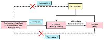 Associations between genetically determined dietary factors and risk of autism spectrum disorder: a Mendelian randomization study